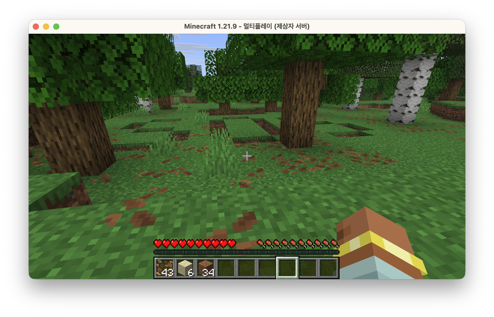 MinecraftServerEnter