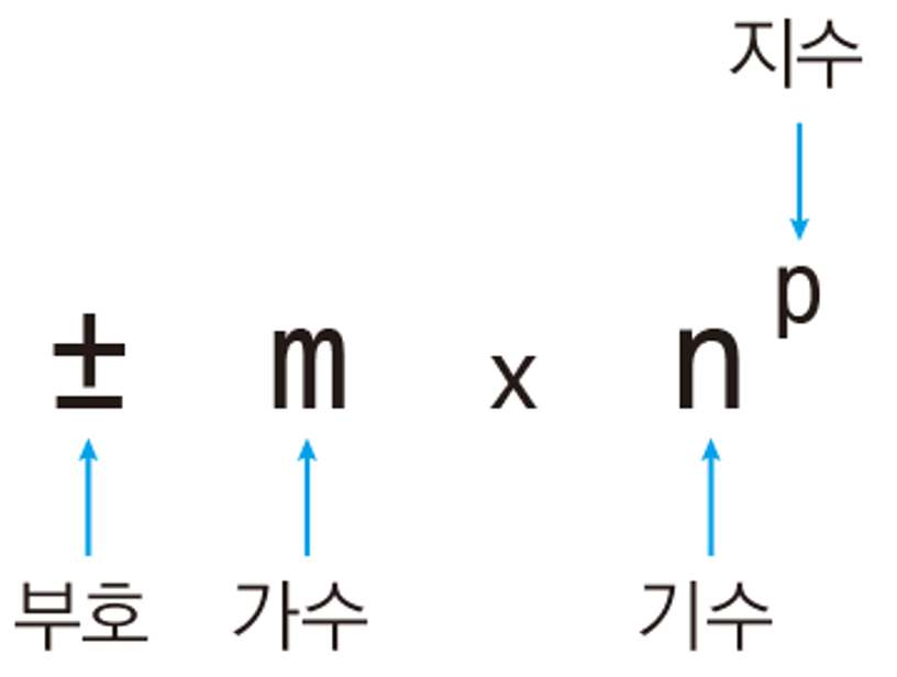 SignMantissaExponent